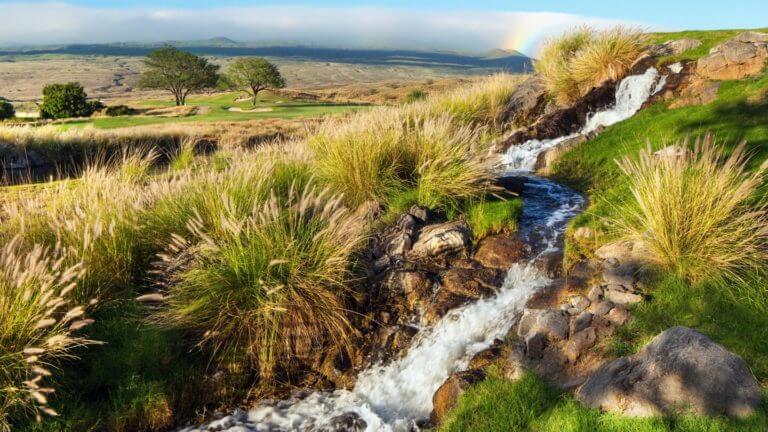 A cascading waterfall features on the golf course at The Westin Hapuna Beach Resort