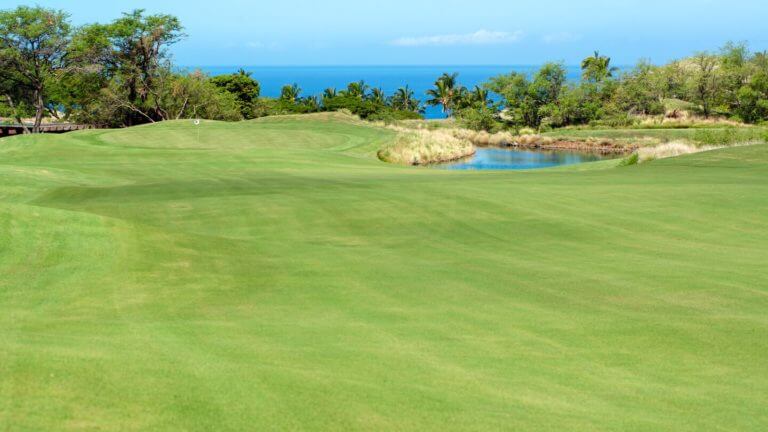 Lush fairway leads to a green with Pacific Ocean views
