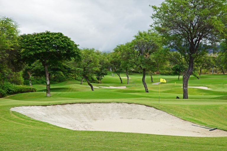 Lush trees and fairways feature on the Gold Course
