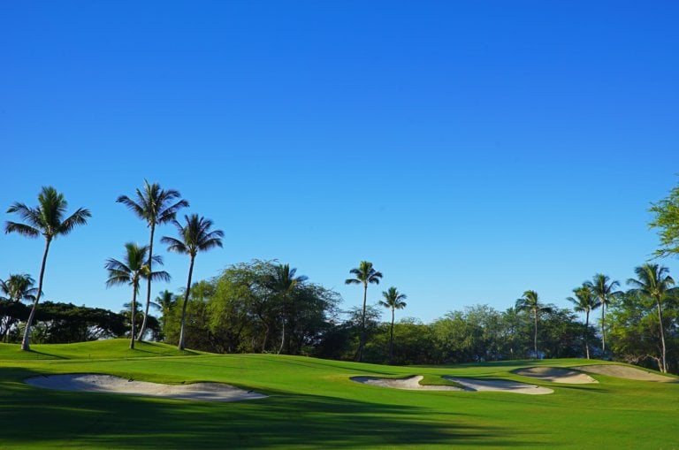 Large palm trees and blue skies await golfers at Wailea Beach Golf Courses