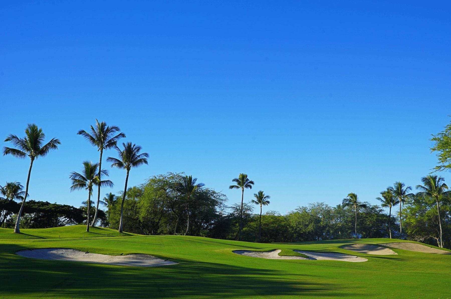 Wailea Beach Golf Resort Maui, Hawaii Voyages.golf