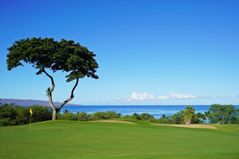 Uninterrupted Pacific Ocean views from the Emerald Course's eighth green