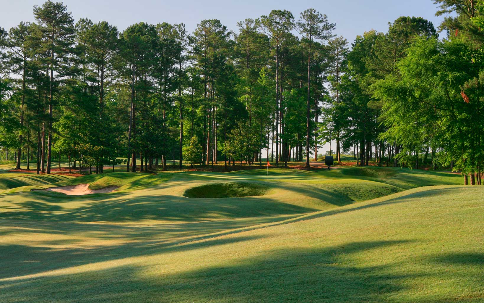 Towering trees dominate the sixteenth hole at Grand National Links Course