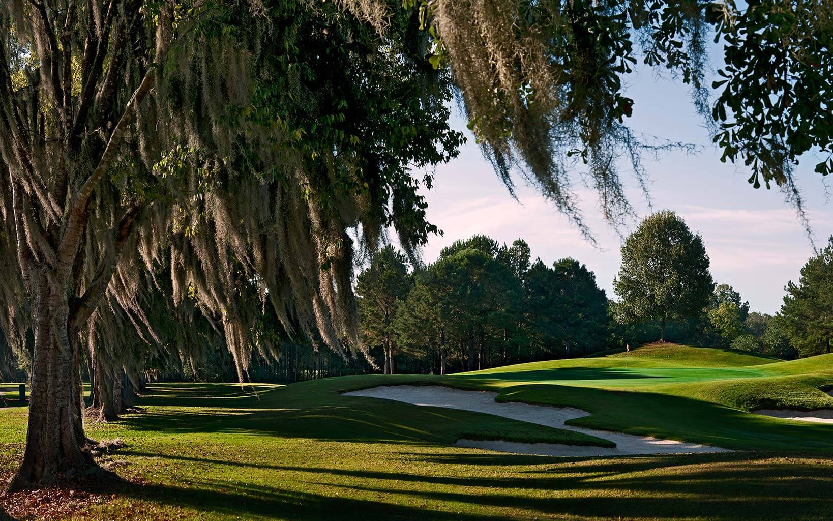 Overhanging branches line the left side of the ninth fairway on the Judge Course