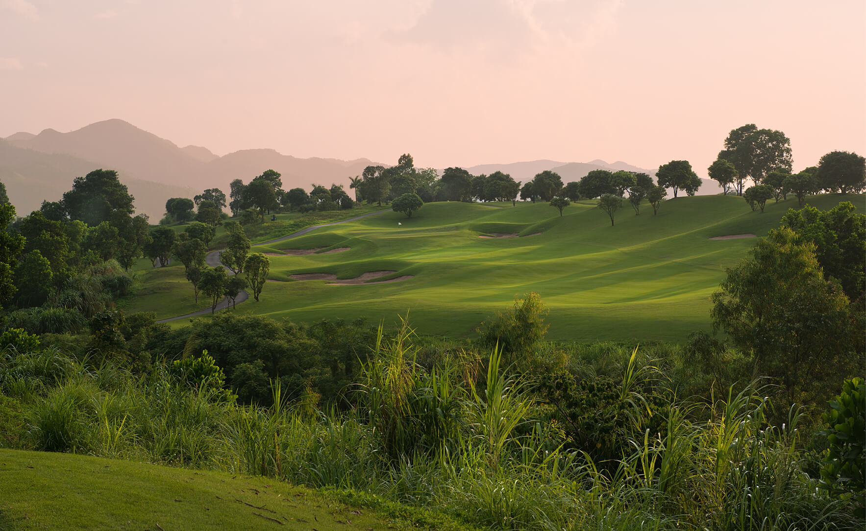 Wide open fairways with trees along the ridgeline