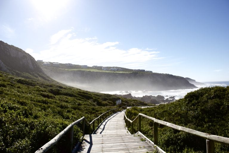 Mist rises over a boardwalk at Pinnacle Point Estate