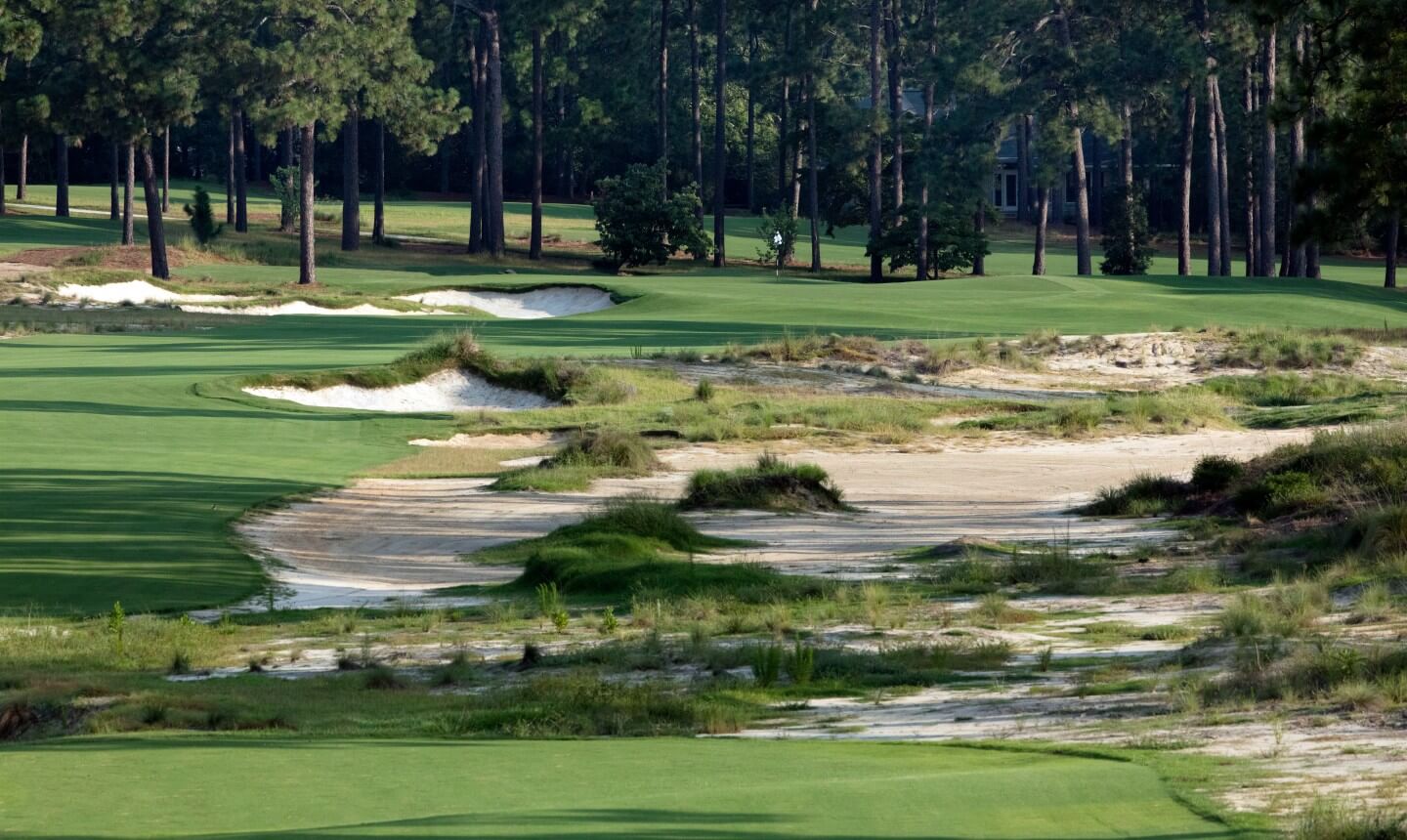 Wasteland bunkers on Pinehurst No. 4 golf course