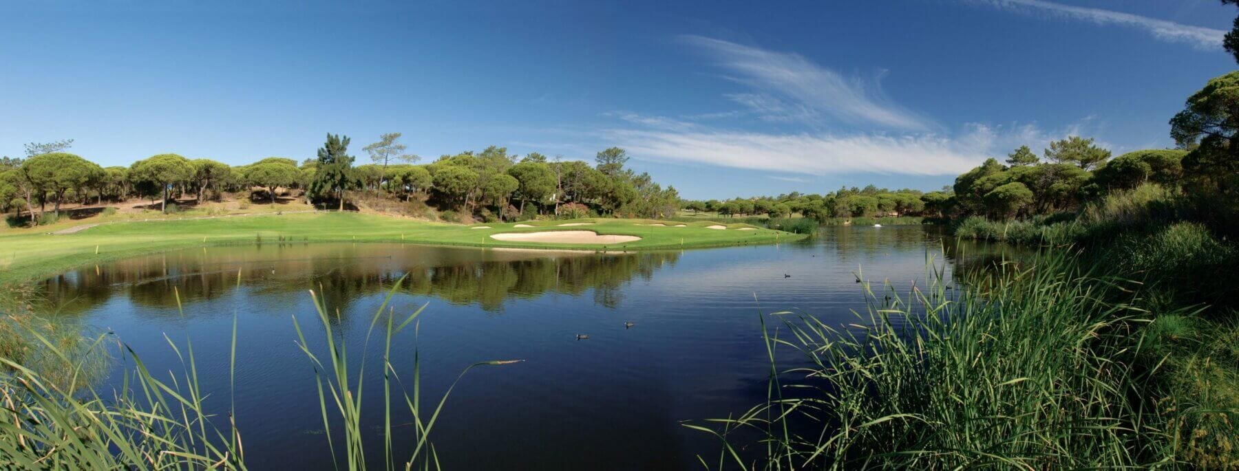 Landscape view of a stream and the San Lorenzo Golf Course