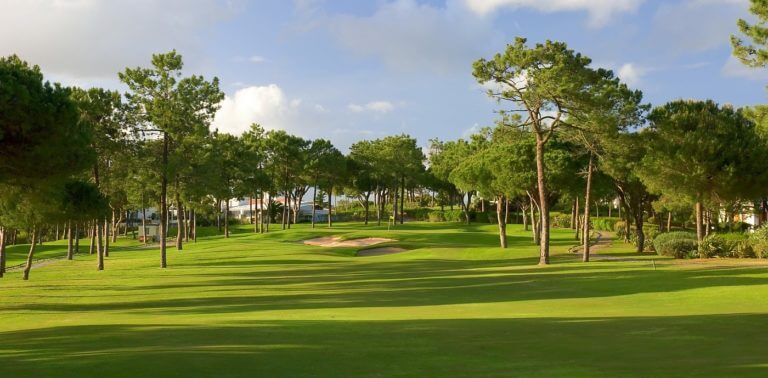 Pine trees stand on the Pinheiros Altos golf course, Algarve