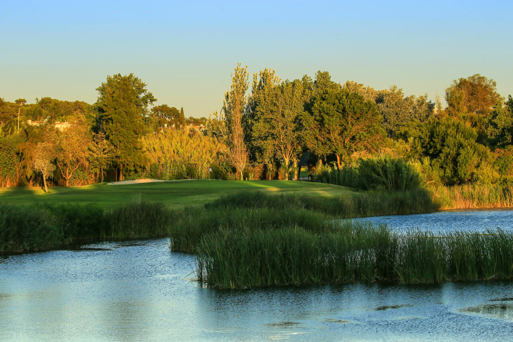 Dusk casts golden light on trees at Dom Pedro's Laguna golf course