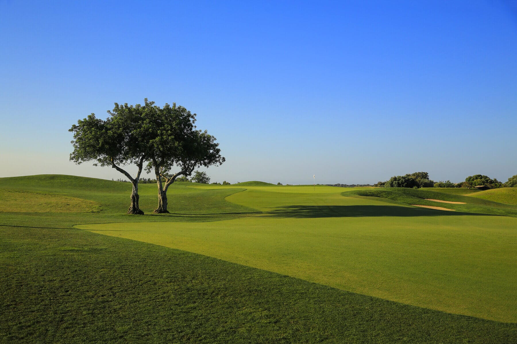 Dom Pedro Victoria Golf Course Vilamoura, Algarve Voyages.golf