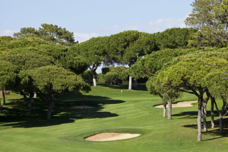 Green protected by umbrella pines and bunker