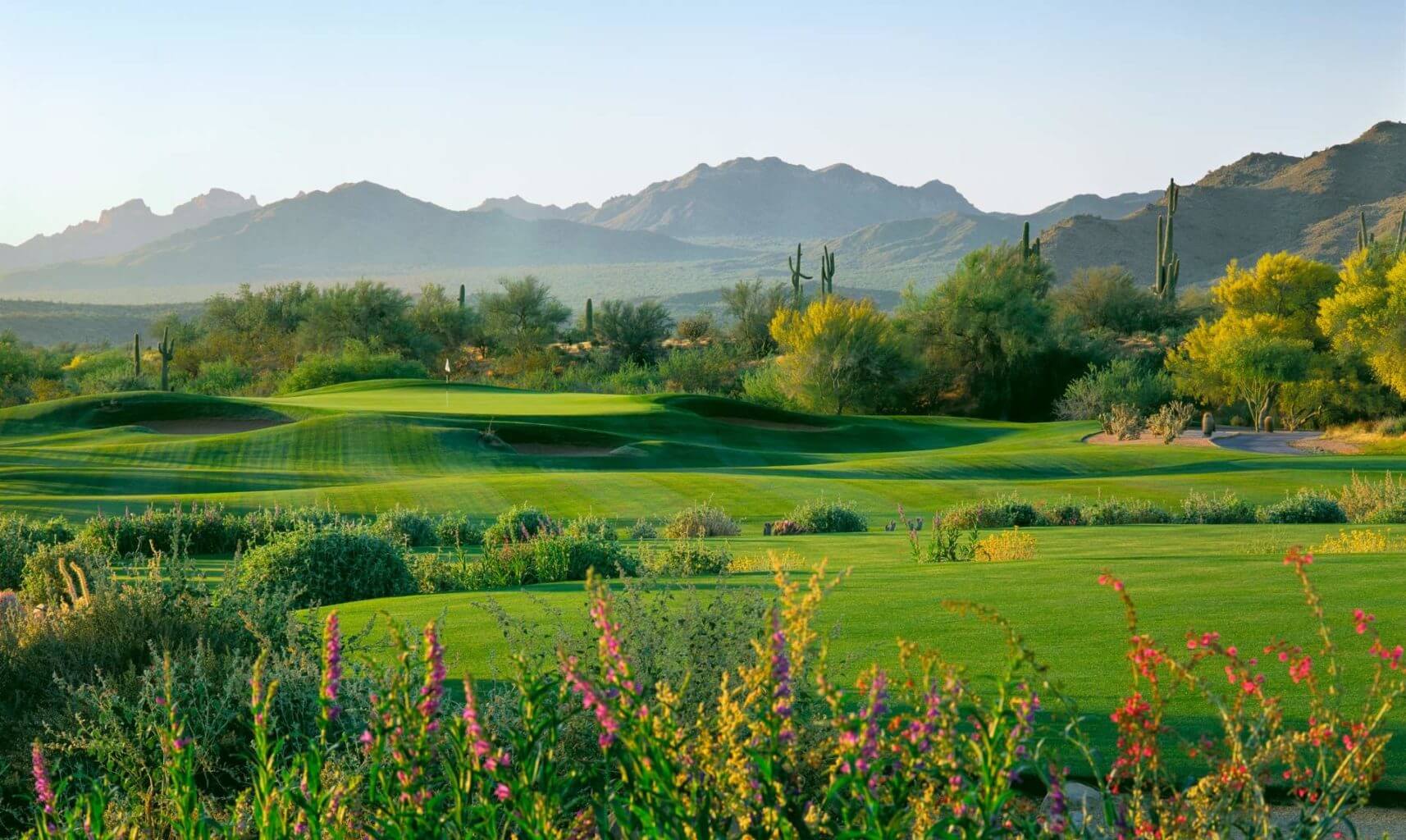 Landscape view of the desert encompassing Cholla course