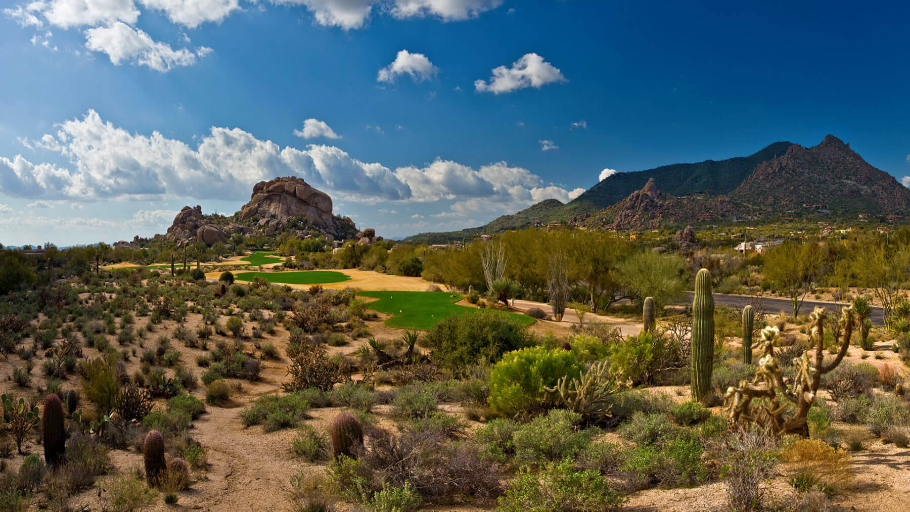 The South Course stands amongst The Sonoran Desert Landscape
