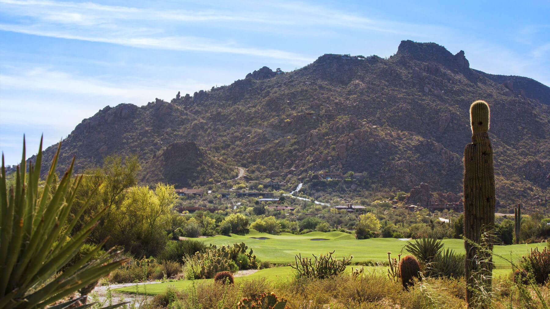 Rolling desert hills stand behind The South Course