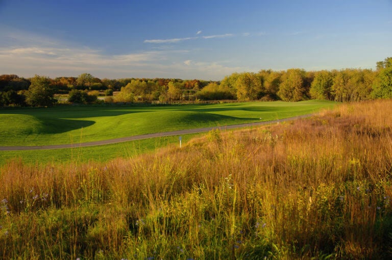 Long grass surrounds The Highlands Golf Course