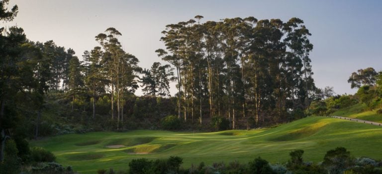 Large trees dominate a par-3 golf hole at Pezula Championship golf course